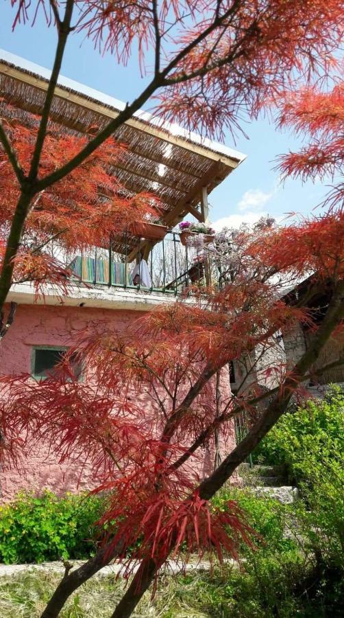 La Casa Rosa Di Segusino With Spa Jacuzzi In Garden Sequsino Luaran gambar